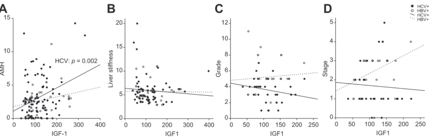 Fig. 2. Relationship between IGF-1 and AMH levels in the serum of women who were HCV+ or HBV+