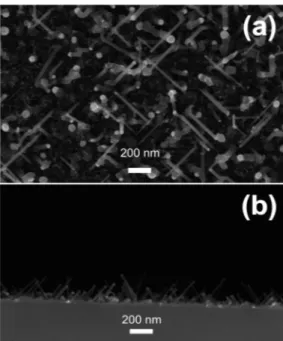 Figure 1. Scanning electron microscope (SEM) micrographs in planar (a) and cross-sectional view (b) of silicon nanowires (Si-NWs) array grown on Si (100) substrate, prepared by Au-catalyzed VLS growth in plasma ambient.
