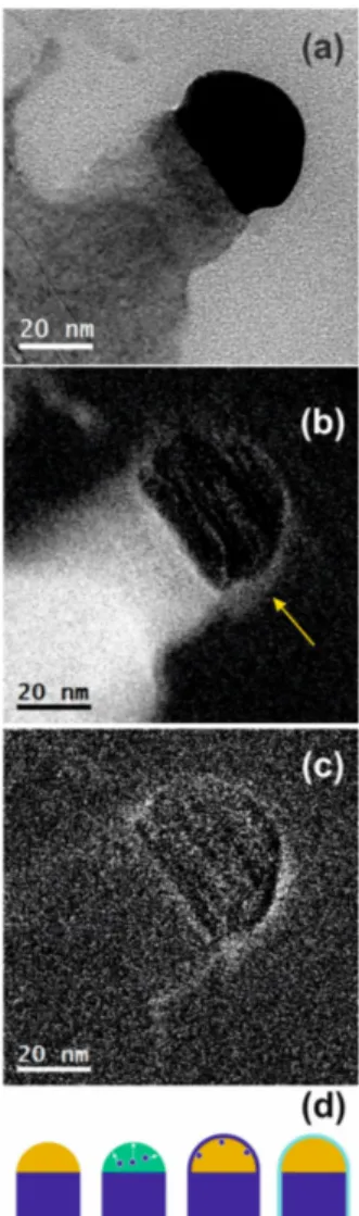 Figure 2. Transmission electron microscopy (TEM) micrograph acquired in bright field conditions of a Si-NW on &lt;100&gt; Si substrate (a)