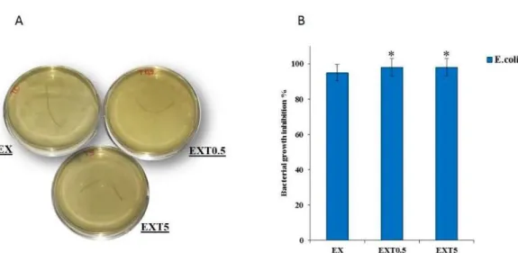 Figure 9. The images of  E.  coli  with the EX, EXTO.S  and  EXTS  threads  {A). The bacteria growth inhibition 