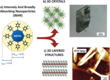 Fig. 1 (a) Schematic representation of an IBAN. (b) Optical microscopy image of 3D crystals of IBAN
