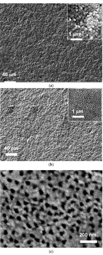 Figure 3. Morphology of Ti screen-printed electrodes (a) before and (b) after the anodic oxidation  treatment