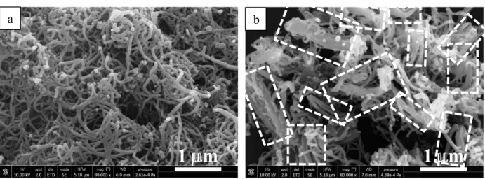 Fig. 2. SEM analysis of SN (a) and BN (b).