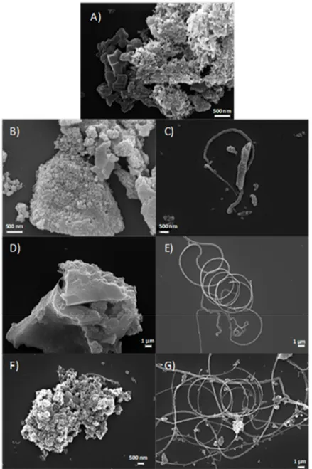 Figure 5 A–G report SEM images of the samples. In accordance with the porosity distribution results, all carbons are characterized by a porous structure (Figure 5 A,B,D,F) due to the use of a hard templating agent lixiviated at the end of the synthetic pro