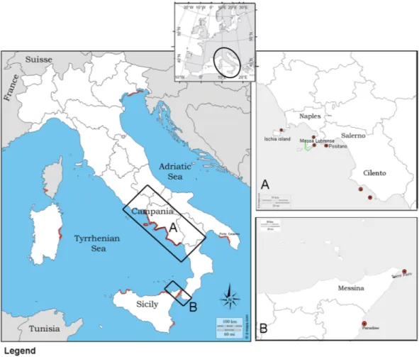 Figure 1.  Location map of the two studied Italian regions in Tyrrhenum (A,B) (black square) with sampled 