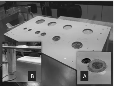 Figure 5. Lab-made apparatus for morphometric measurements. (A) Jellyfish were placed inside the 
