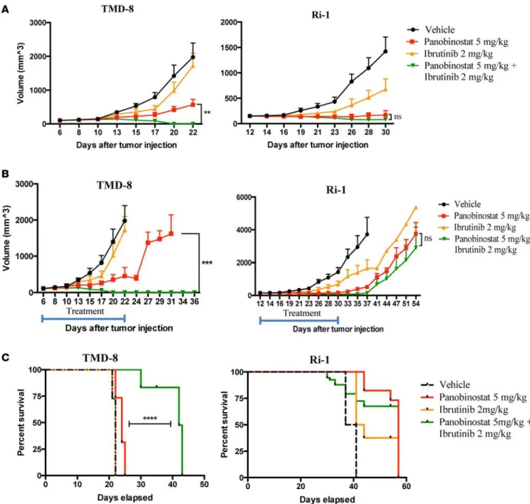 Figure 6. Panobinostat synergizes with ibrutinib in xenograft model of ABC DLBCL. (A) NSG mice (n = 8 per treatment group) bearing TMD-8 (MyD88 