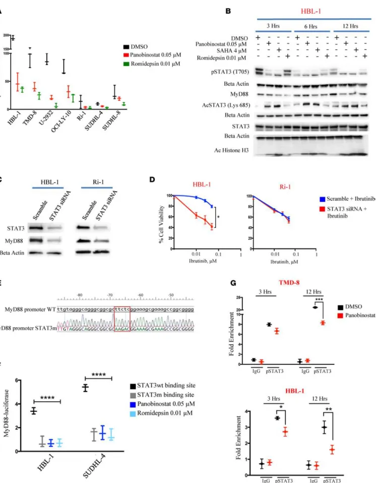 Figure 3. STAT3 plays a central role in modulating MyD88 expression. (A) Box and whiskers plot showing decrease of pSTAT3 (T705) in B cell lymphoma 