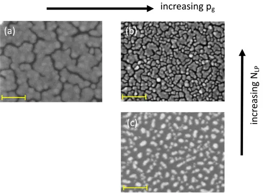 Figure 1. Scanning Electron Microscope (SEM) micrographs showing the dependence of the surface nanostructure of Au films deposited in Ar on the ambient gas pressure (p g ) and on the number of laser