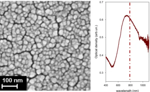 Figure 4. Surface nanostructure of an Au substrate deposited on (100) Si (ablation in Ar at 100 Pa, N LP = 2 × 10 4 )