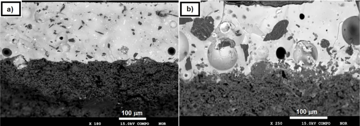 Figure 6. Representative electron microprobe analysis coupled with energy dispersive spectrometry 