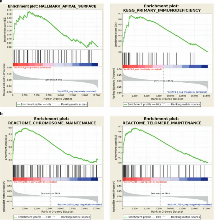 Figure 3. Representative enrichment plots of gene sets signiﬁcantly up- and downregulated in CLL with increasing expression levels of lnc- lnc-IRF2-3 ( a) or lnc-KIAA1755-4 (b) detected by gene set enrichment analysis