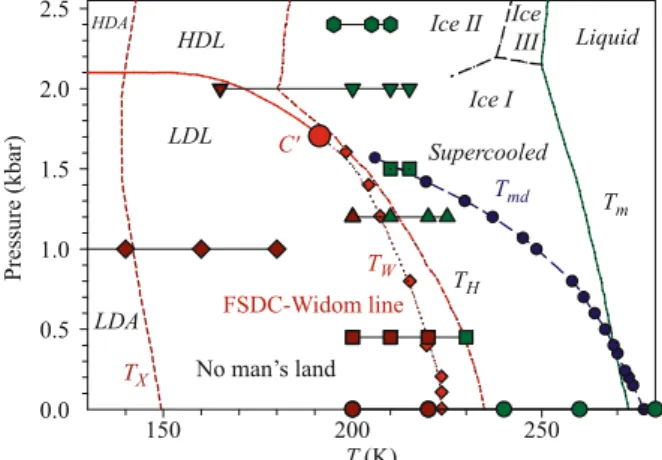 Fig. 1 The pressure-temperature phase diagram of bulk water in the frame of its polimorphism and of the LLPT model