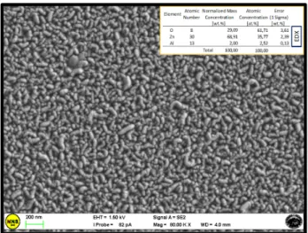 Figure 2. Field emission-scanning electron microscopy (FE-SEM) analysis of the AZO layer deposited by co-sputtering in co-focal geometry at 188 ˝ C