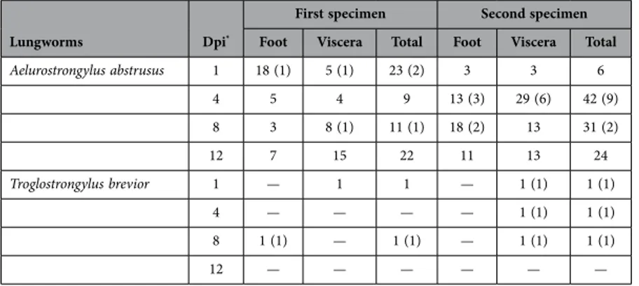Table 1.   Number of third-stage larvae of Aelurostrongylus abstrusus and Troglostrongylus brevior  detected in the foot and viscera of Helix aspersa snails infected with 50 L3s each.Two specimens were  analysed at each time point (i.e., 1, 4, 8, 12  * Day