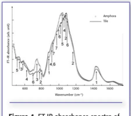 Figure 5: FT-IR absorbance spectra of
