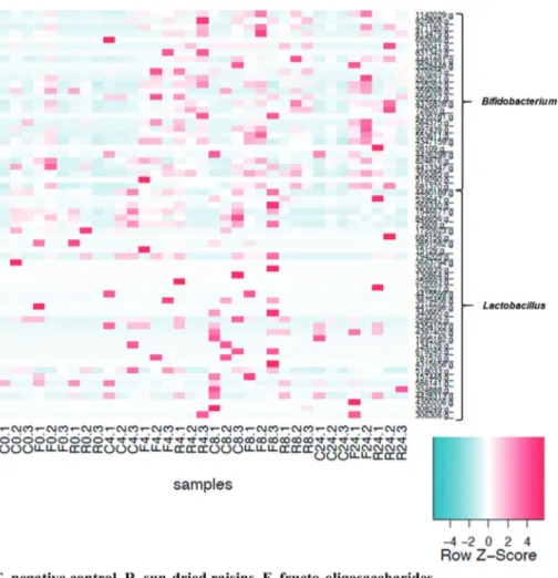 Fig. 7 Heatmap of OTU classi ﬁed as Lactobacillus or Biﬁdobacterium. Samples were arranged according to the amount of time fermented