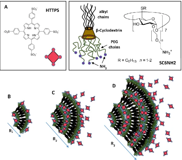 Figure 3. Models for the heterotopic aggregates formed by the self-assembly of anionic porphyrins  (HTTPS) entangled in cationic amphiphilic modified cyclodextrins (SC6CDNH2) (A), at a different  porphyrins/cyclodextrins  (TPPS/SC6CDNH2)  ratio