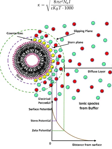 Figure  2.  Schematic  representation  of  the  charge  distribution  around  the  charged  surface  of  a  liposome