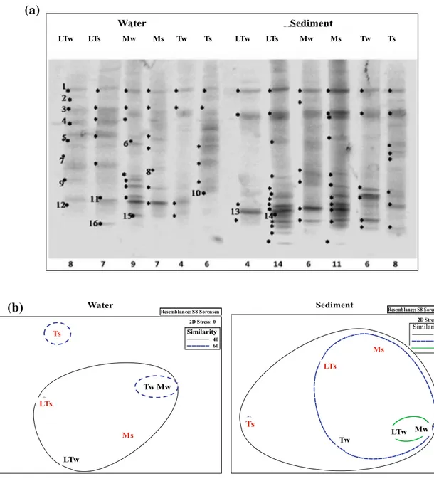 Fig. 3   Archaeal DGGE profiles obtained from water and sediment 
