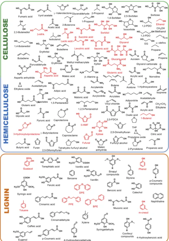 Figure 2. Building block chemicals that can be easily obtainable from catalytic upgrading of cellulose,  hemicellulose and lignin (platform molecules are in red color)