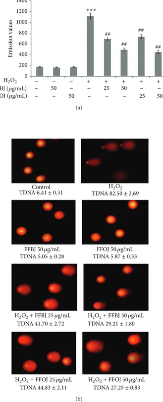Figure 9: Protective effects of FFBJ and FFOJ on DNA damage induced by H 2 O 2 . (a) Levels of 8-oxo-dG are measured as emission signals of fluorochrome FITC-labeled avidin collected in the  FL-1 channel