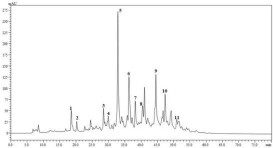 Figure 2 shows the chromatographic profile of the carotenoid composition in not saponified kumquat fruits extracts