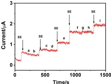 Figure 7. Amperometric response of the MnO 2 -GR modified GCE for the addition of 50 µM SE and 