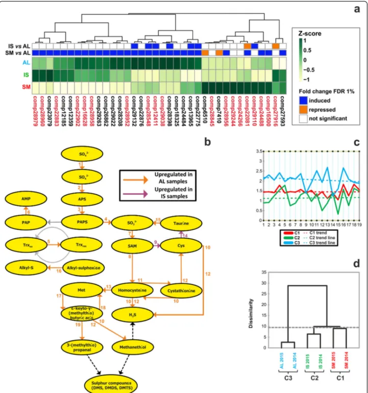 Fig. 6 Transcriptional regulation of sulfur VOC pathway genes in white truffle fruiting bodies