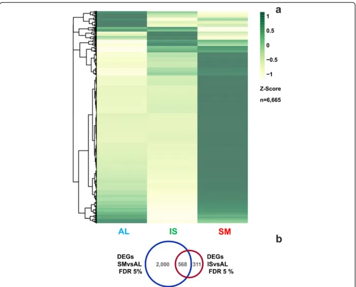 Fig. 5 RNA-seq analysis of T. magnatum fruiting bodies of different geographical origin