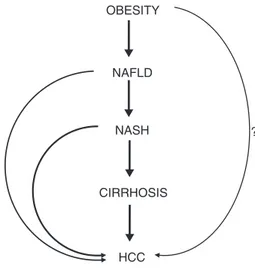 Fig. 1. Malignancies associated with obesity. Abbreviations: HCC, hepatocellular car- car-cinoma