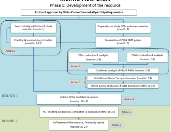 Figure 1  Flow chart of the developmental phase of the ManTra project. CRF, case report form; FGM, focus group meeting; 