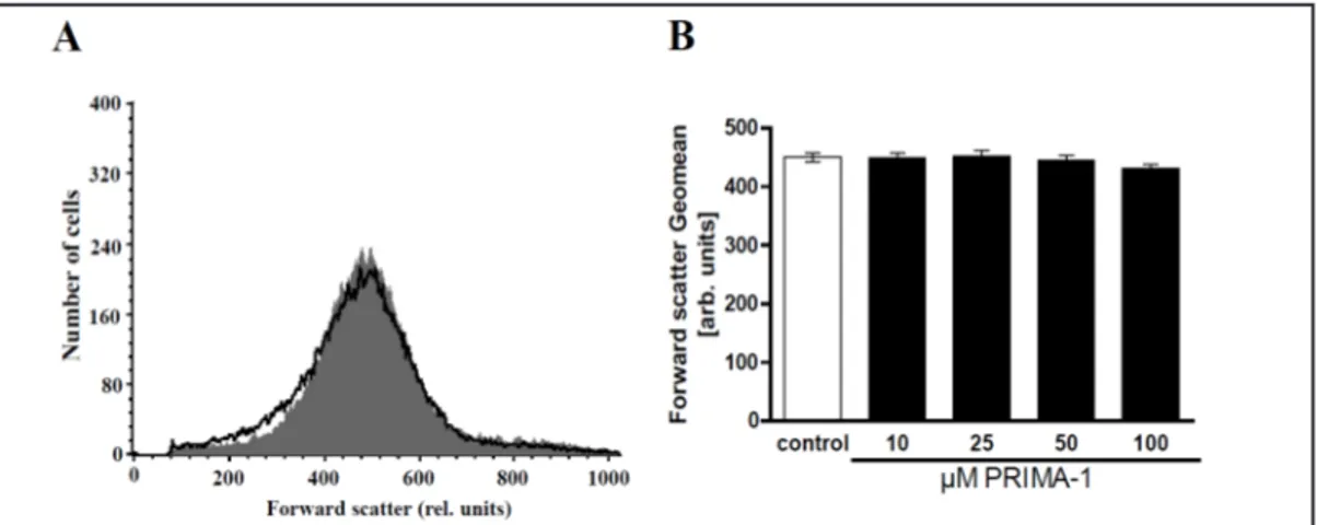 Fig. 2. Effect of PRIMA-1 on erythrocyte forward scatter. A. Original histogram of forward scatter of eryth-