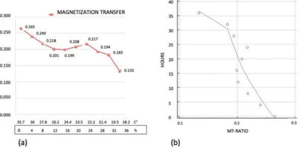 Figure 4. (a) Graphic of the changes of Magnetization Transfer Ratio. On the axis of abscissas are represented  the time and the changes of temperature
