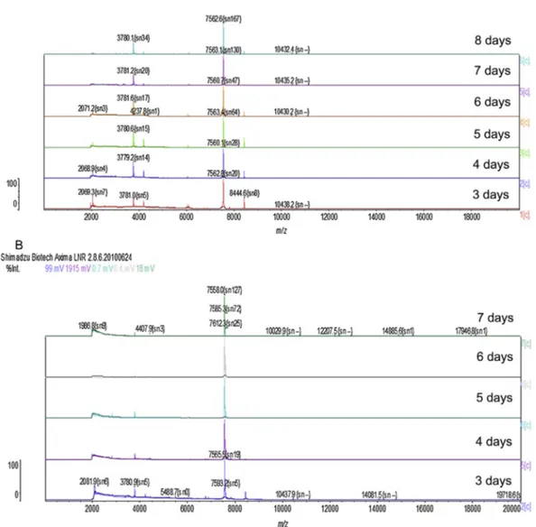 Fig. 2. The influence of growth time of Sporothrix yeast cells on the obtained spectra