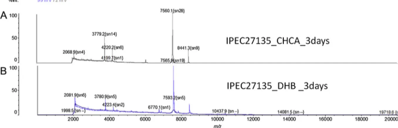 Fig. 3. Comparison between the two commonly used matrix compounds 2,5-dihydroxybenzoic acid (DHB) and a-cyano-4-hydroxycinnamic acid (CHCA)