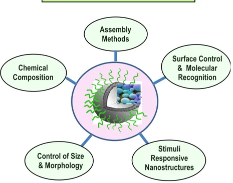 Figure  3. Schematic representation of the factors that influence drug delivery processes  with liposomes nanocarriers