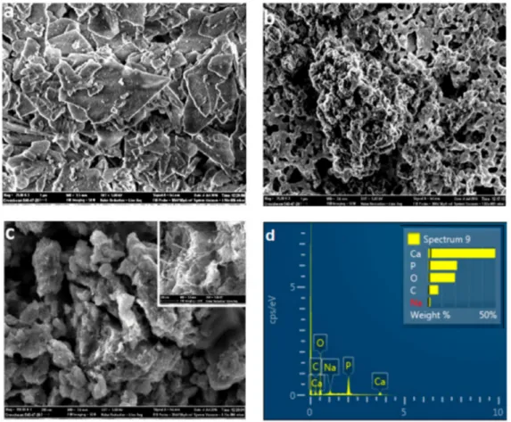 Figure 3. SEM images of (a) pure HA and (b and c) HA-GN-MWCNT. (d) EDX analysis of the HA-GN-MWCNT composite sample.
