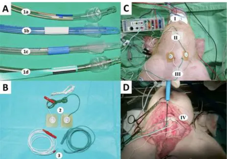 Figure 2. Recording electrodes (EMG tubes/  Skin/ Needle electrodes). 