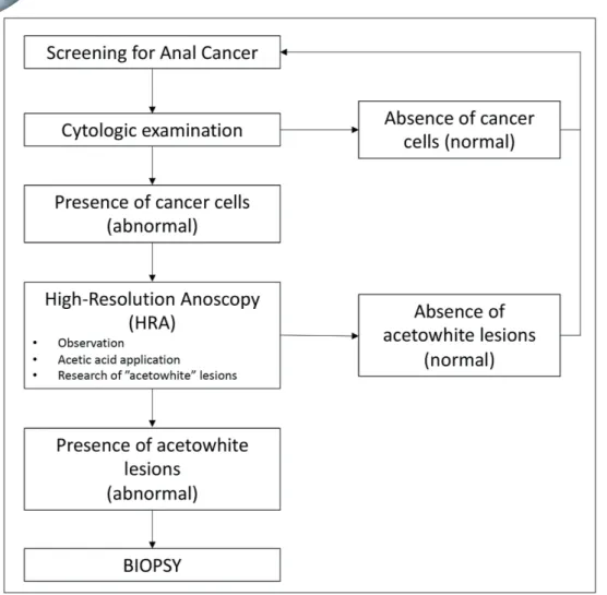 Fig. 1. Screening dia- dia-gram for anal cancer.