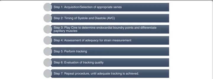Fig. 1 Steps for CMR-Feature tracking