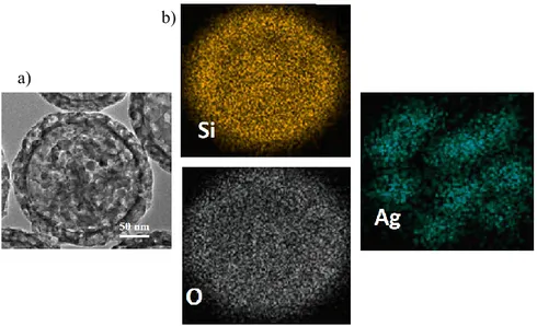 Figure 3. SEM image (a) and EDX elemental mapping (b) of Si, O and Ag, carried out on a portion accidentally detached from SFT-Ag-PMA SiO 2 capsules.