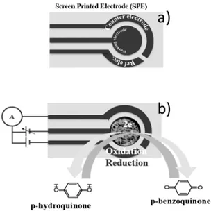 Figure 11. Screen printed electrochemical (SPE) sensor typology. (a) conventional SPE; (b) modified  SPE