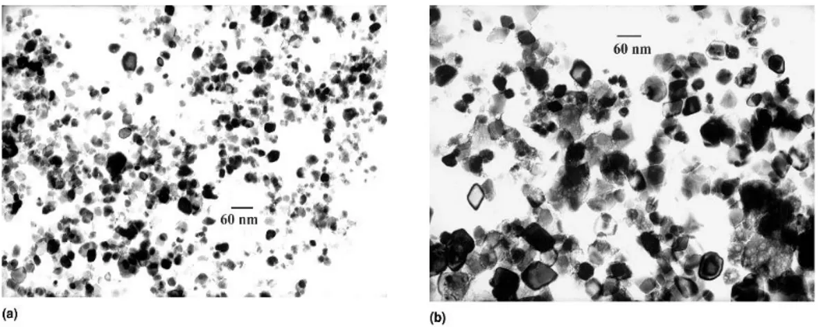 Figure 2. TEM (transmission electron microscopy) pictures of iron oxide nanoparticles obtained at a 