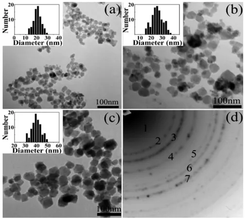 Figure 3.  (a–c) TEM images and size distributions of Fe 3 O 4  nanoparticles (NPs) with the different 
