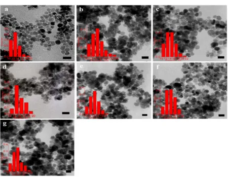 Figure 6. TEM micrographs and size histograms for Fe 3 O 4  nanoparticles prepared by microemulsion 