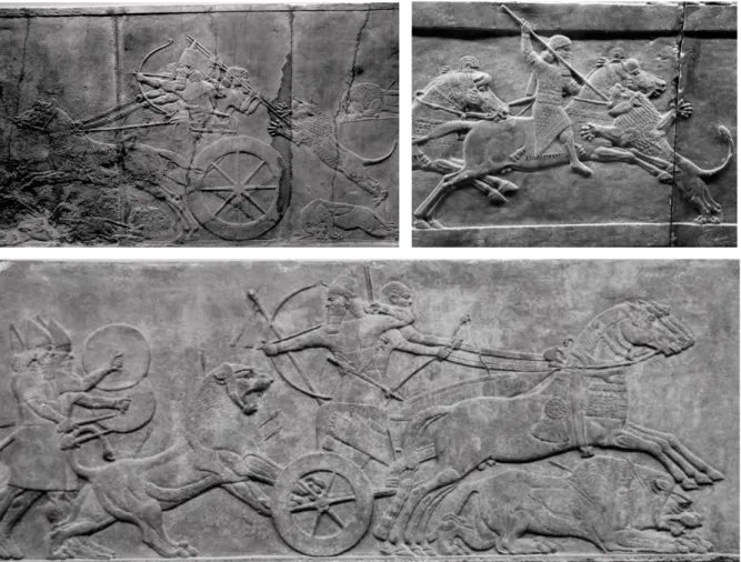 Fig.  10  Assurbanipal  caccia  i  leoni  -  bassorilievi  in  alabastro,  dal  Palazzo  settentrionale  di  Ninive,  Periodo 