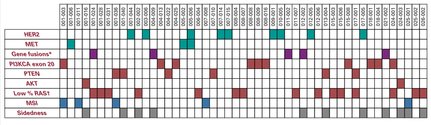 FIG 1. Heatmap detailing the incidence of the genomic alterations included in the primary resistance in RAS and BRAF wild-type metastatic colorectal