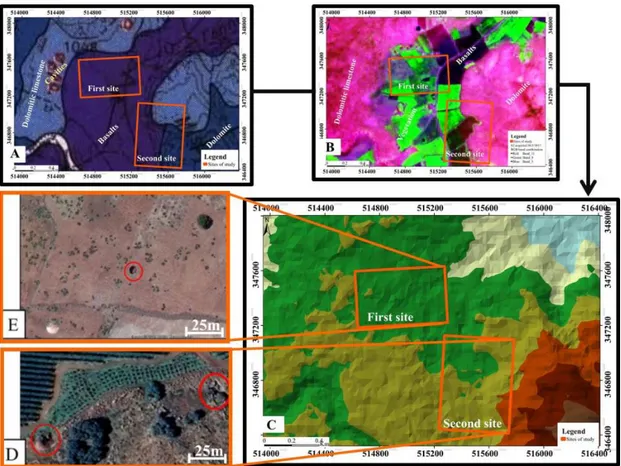Figure  5.  Identification of sinkholes by comparing (A) a regional geological map of El Hajeb (B) a  false  color  Sentinel-2A  image  using  the  SWIR,  NIR  and  Red  bands,  (C)  the  TIN  derived  via  the  ASTER-GDEM, and a high spatial resolution Go