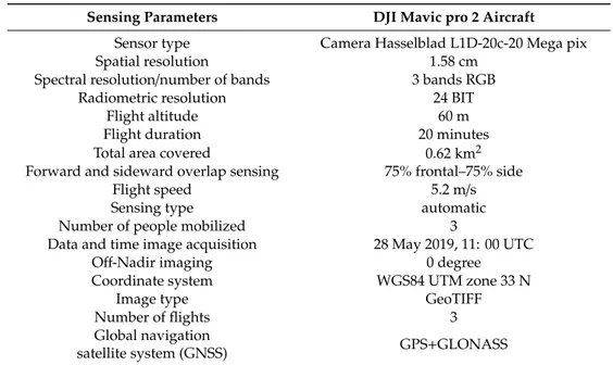 Table 3. Aircraft sensing parameters and main characteristics of UAV orthomosaic.